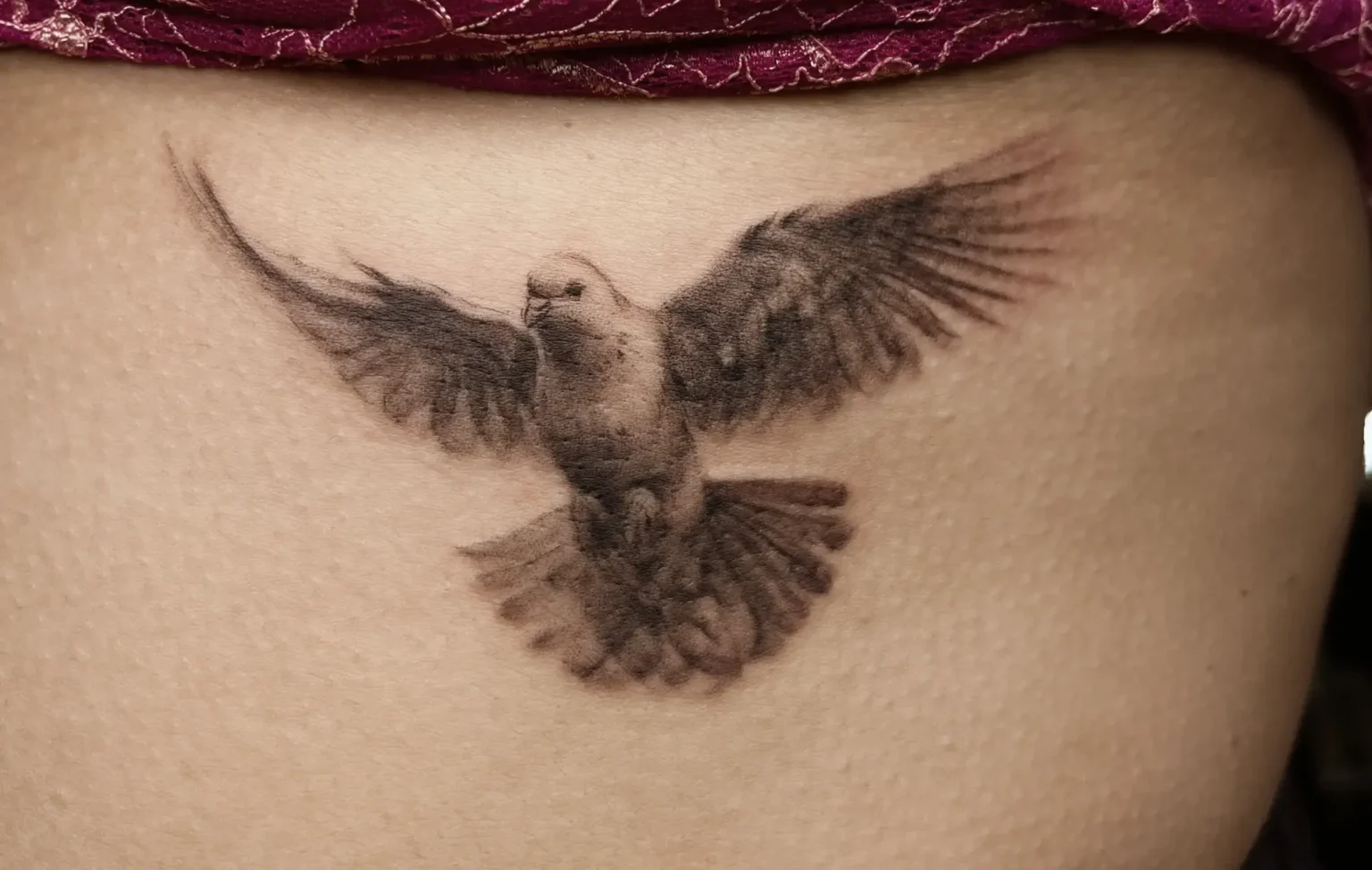 white dove with olive branch meaning