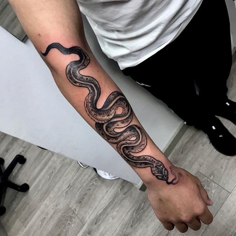 snake wrapping around arm meaning