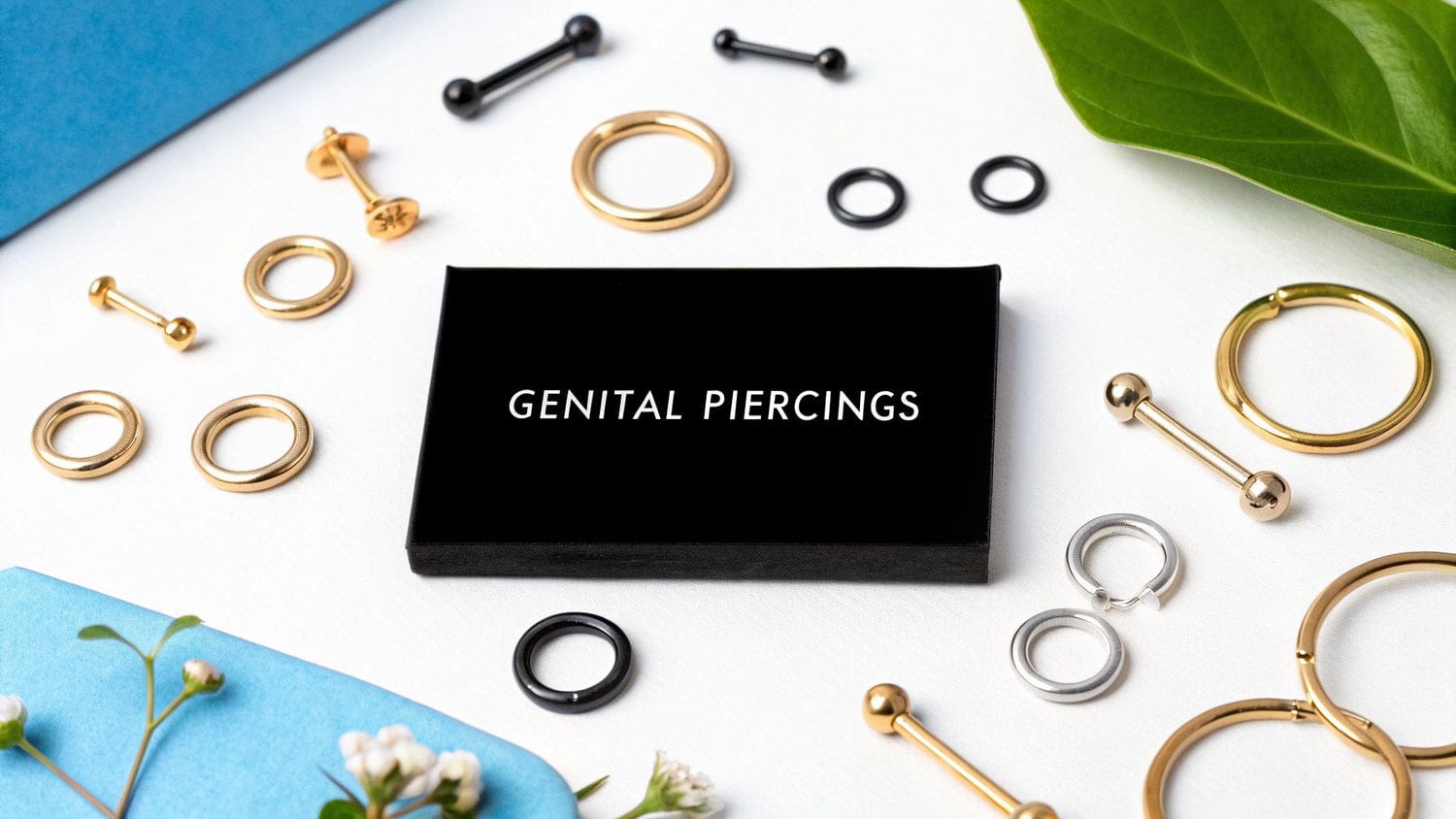 different types of male genital piercings